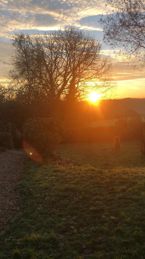 Meadowside Cottage, Characterful Grade 2 Listed Cottage Near To Wadebridge And Padstow Екстериор снимка