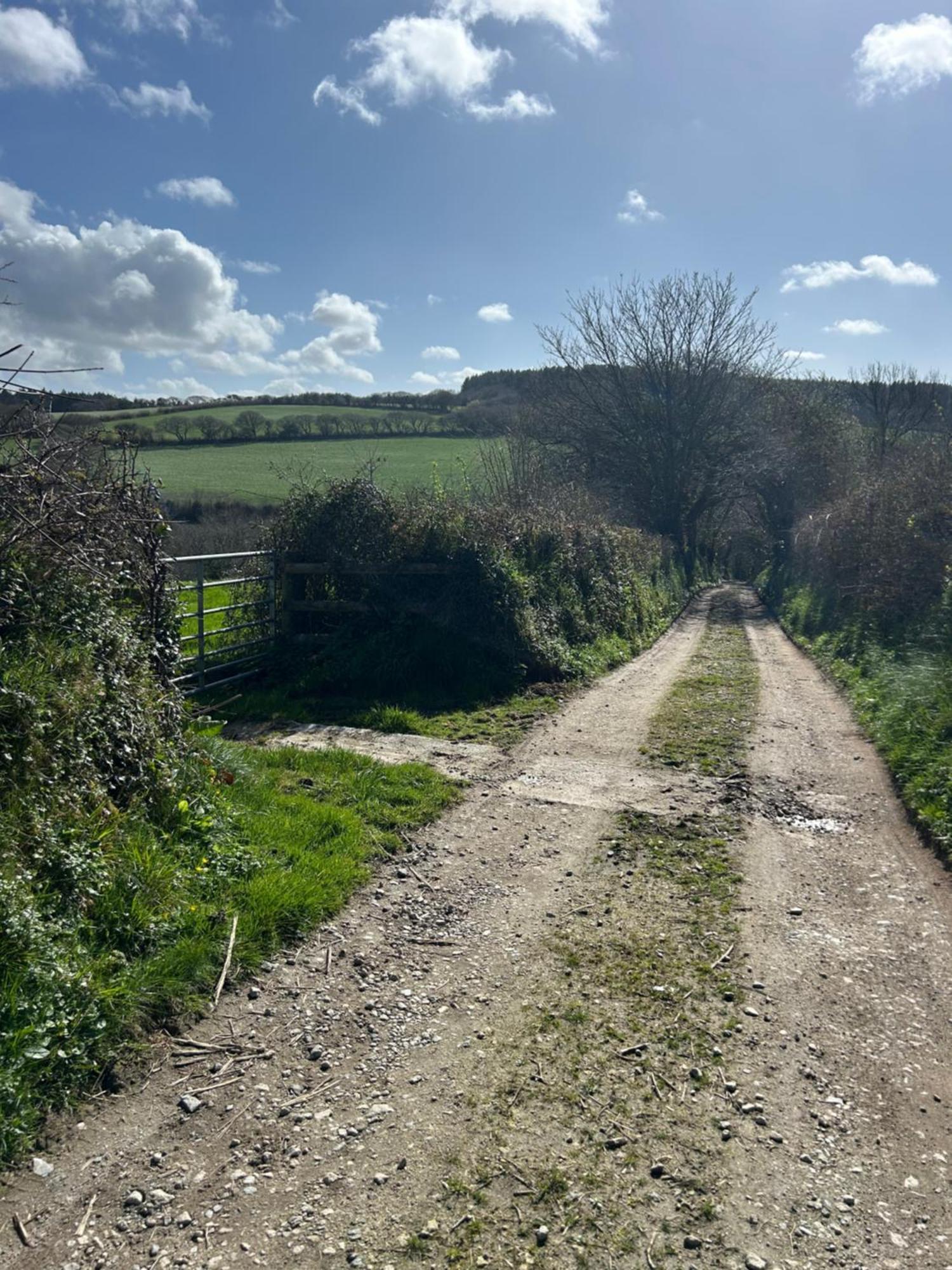 Meadowside Cottage, Characterful Grade 2 Listed Cottage Near To Wadebridge And Padstow Екстериор снимка